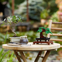 Bonsai Tree (878+pcs)
