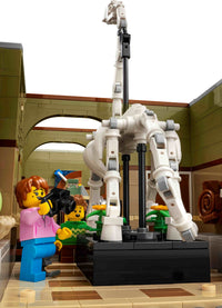 Natural History Museum (4014+pcs)