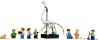 Natural History Museum (4014+pcs)