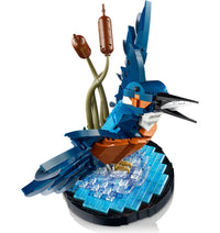 Kingfisher (834+pcs)