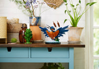 Kingfisher (834+pcs)