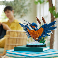 Kingfisher (834+pcs)