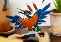 Kingfisher (834+pcs)