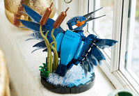 Kingfisher (834+pcs)