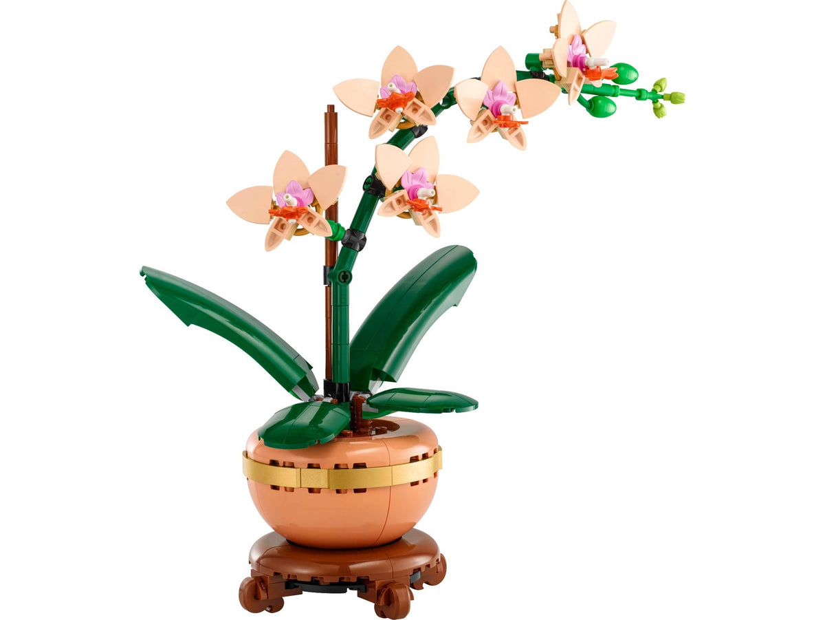 Mini Orchid (274+pcs)