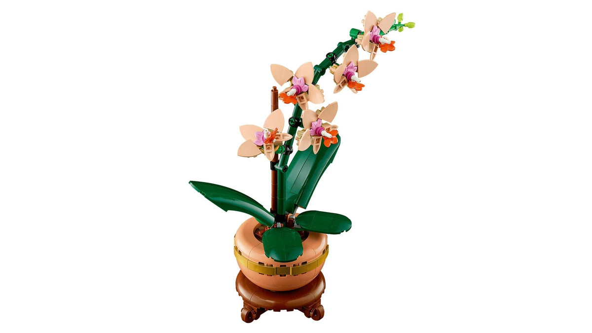 Mini Orchid (274+pcs)