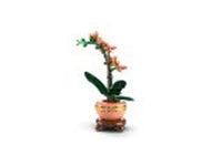 Mini Orchid (274+pcs)