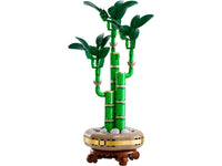 Lucky Bamboo (325+pcs)