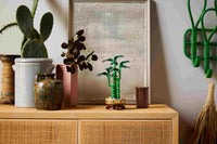 Lucky Bamboo (325+pcs)