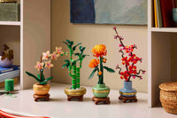 Lucky Bamboo (325+pcs)