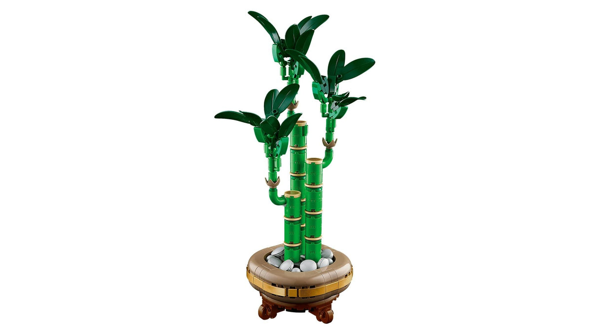 Lucky Bamboo (325+pcs)