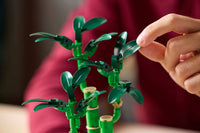 Lucky Bamboo (325+pcs)