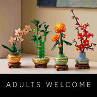 Lucky Bamboo (325+pcs)