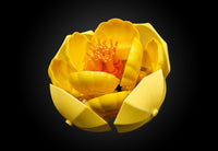 Flower Arrangement (1161+pcs)