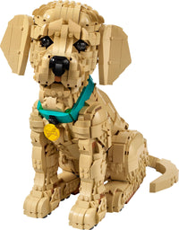 Golden Retriever Puppy (2102+pcs)