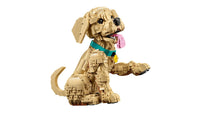 Golden Retriever Puppy (2102+pcs)