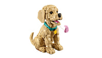 Golden Retriever Puppy (2102+pcs)