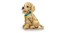 Golden Retriever Puppy (2102+pcs)
