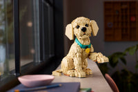 Golden Retriever Puppy (2102+pcs)