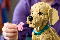 Golden Retriever Puppy (2102+pcs)