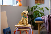Golden Retriever Puppy (2102+pcs)