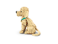 Golden Retriever Puppy (2102+pcs)