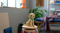 Golden Retriever Puppy (2102+pcs)