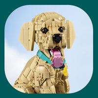 Golden Retriever Puppy (2102+pcs)