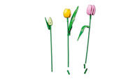 Tulip Bouquet (576+pcs)