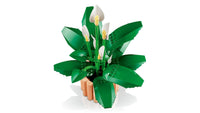 Peace Lily (474+pcs)