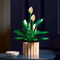 Peace Lily (474+pcs)