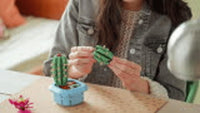 Flowering Cactus (482+pcs)