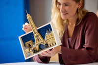 Paris - City of Love (958+pcs)