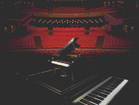 Grand Piano (3662+pcs)