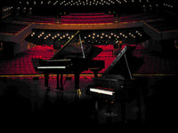 Grand Piano (3662+pcs)