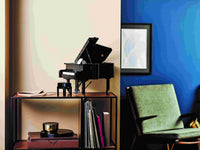 Grand Piano (3662+pcs)
