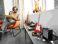 Fender Stratocaster (1074+pcs)