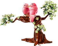 Love Birds (750+pcs)