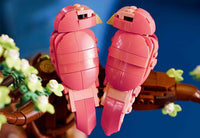 Love Birds (750+pcs)