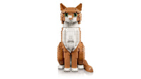 Orange Cat (1755+pcs)