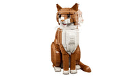 Orange Cat (1755+pcs)