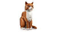 Orange Cat (1755+pcs)
