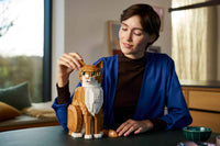 Orange Cat (1755+pcs)
