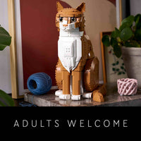Orange Cat (1755+pcs)