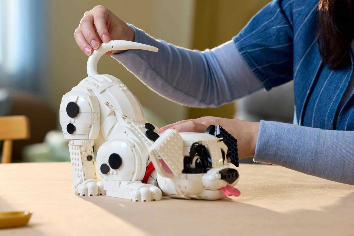 101 Dalmatians Puppy (1722+pcs)