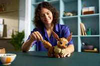 Eevee (587+pcs)