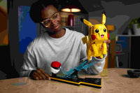 Pikachu and Poke Ball (2050+pcs)