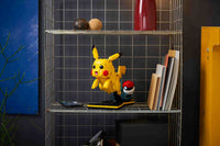 Pikachu and Poke Ball (2050+pcs)