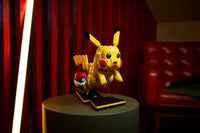 Pikachu and Poke Ball (2050+pcs)