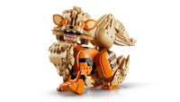Arcanine (1190+pcs)